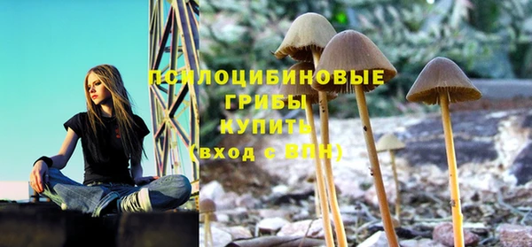 2c-b Яранск