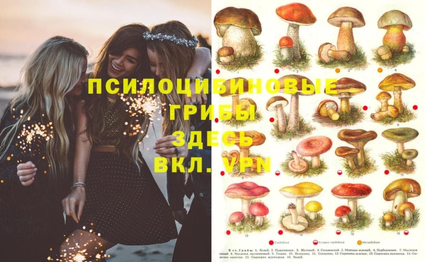 мяу мяу кристалл Янаул
