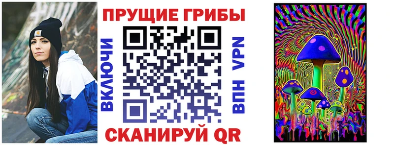 купить наркоту  Бирюсинск  Псилоцибиновые грибы мицелий 